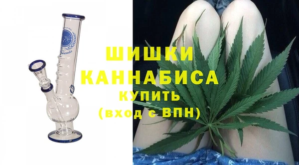 бошки Богданович